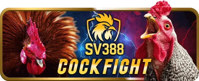 Kèo BDD (Hòa) trong đá gà W33WIN